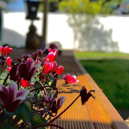 Onehunga Garden Tinyhouse With Parking Ξενοδοχείο Όκλαντ Εξωτερικό φωτογραφία