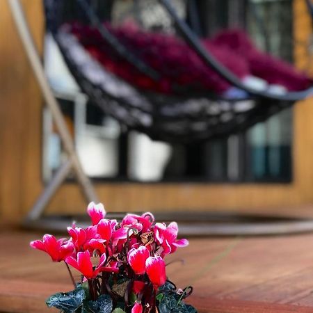 Onehunga Garden Tinyhouse With Parking Ξενοδοχείο Όκλαντ Εξωτερικό φωτογραφία