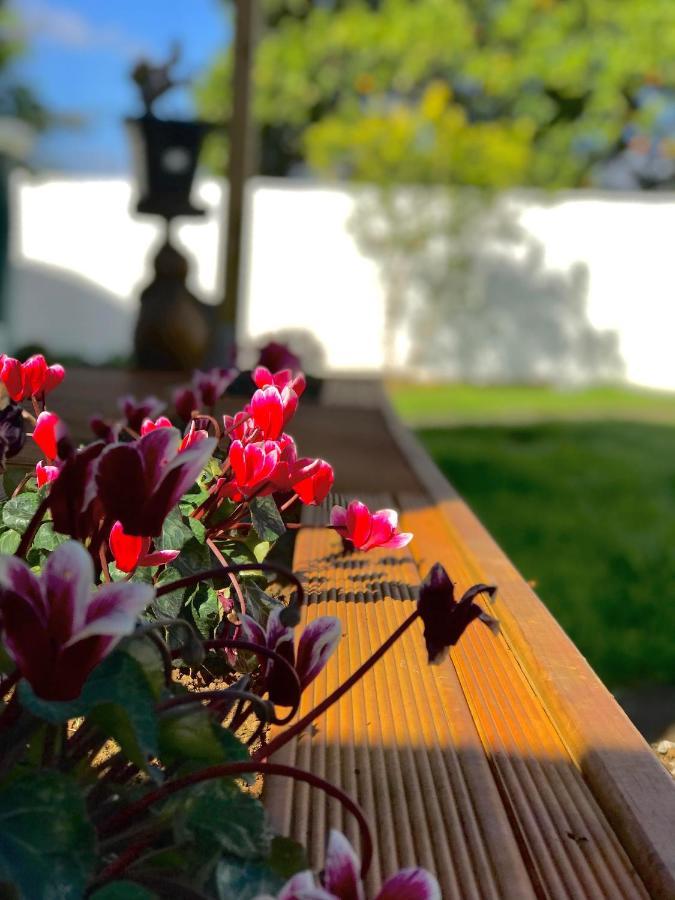Onehunga Garden Tinyhouse With Parking Ξενοδοχείο Όκλαντ Εξωτερικό φωτογραφία