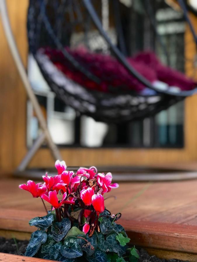 Onehunga Garden Tinyhouse With Parking Ξενοδοχείο Όκλαντ Εξωτερικό φωτογραφία